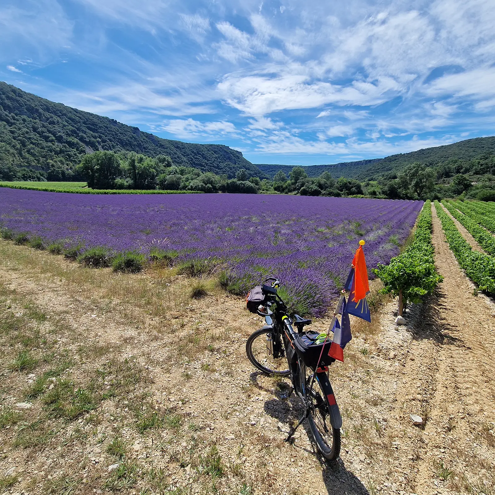 ADFC Vortragsreihe „Fernweh im Winter“

Frankreich – Savoir Vivre en Velo

Do., 23. Jan 2025, 19:30 Uhr, Saalbau Bornheim


Weiterlesen

Foto: Achim Knick