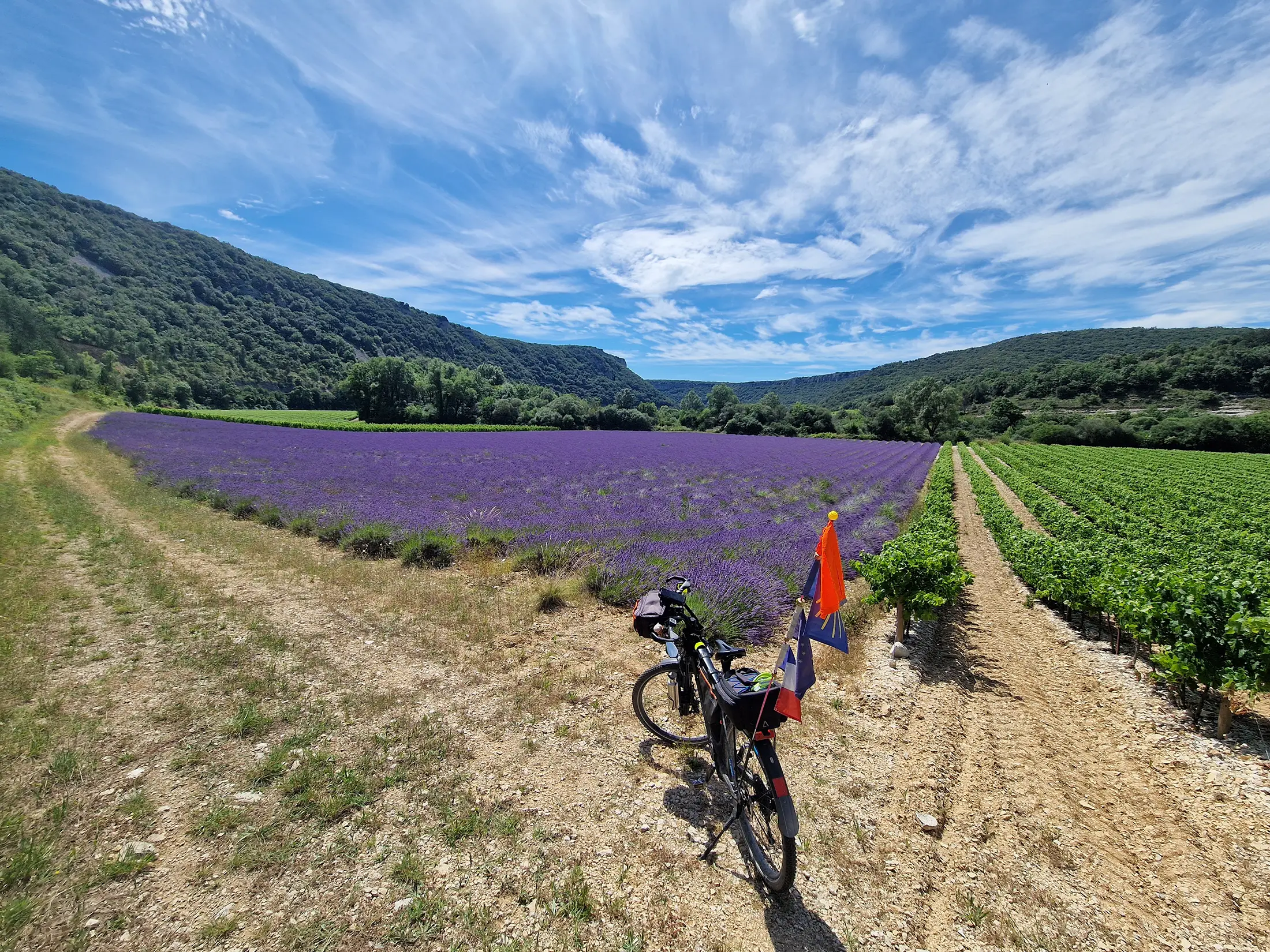 ADFC Vortragsreihe „Fernweh im Winter“

Frankreich – Savoir Vivre en Velo

Do., 23. Jan 2025, 19:30 Uhr, Saalbau Bornheim


Weiterlesen
Foto: Achim Knick