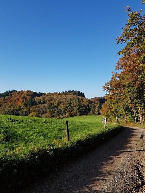 MTT-2025-10-02-Odenwald